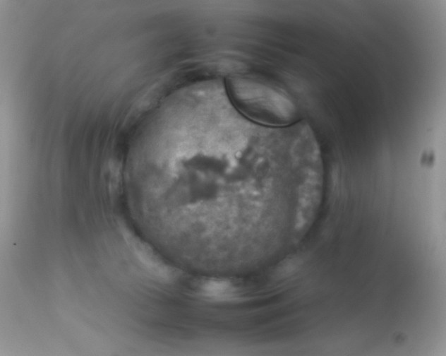 X0000113070177200909182033