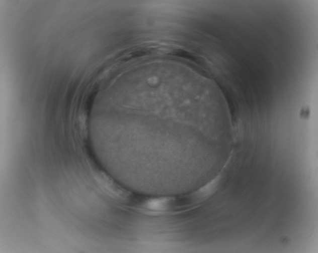 X0000113070178200909182033