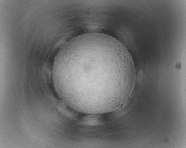 X0000113070179200909182033