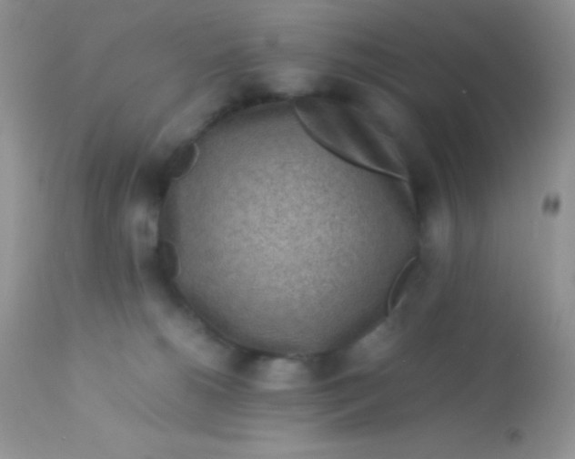 X0000113070180200909182033