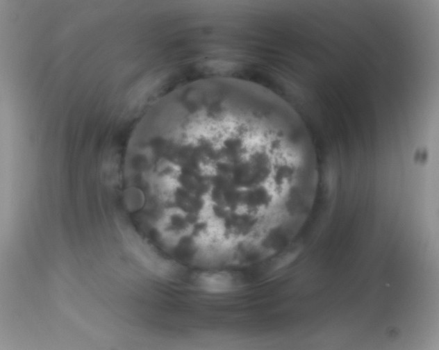 X0000113070181200909182033