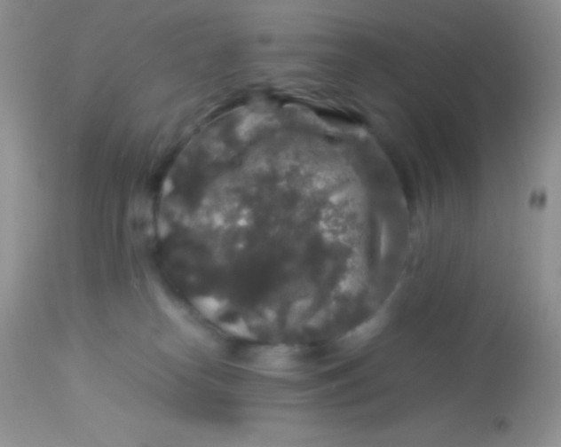 X0000113070182200909182033