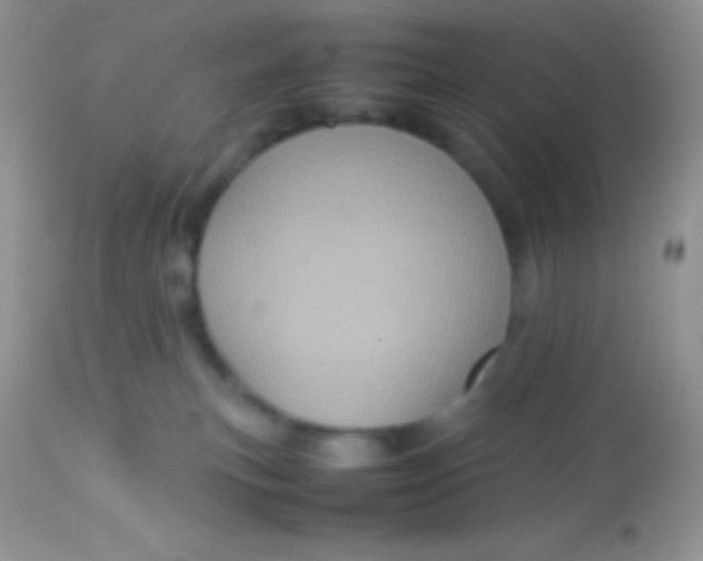 X0000113070183200909182033