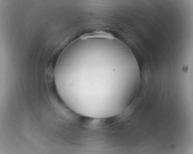 X0000113070184200909182033