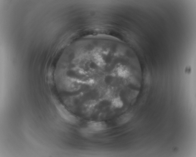 X0000113070185200909182033