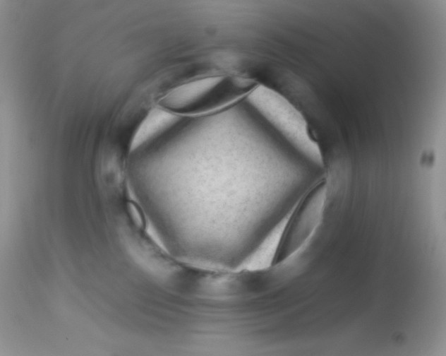 X0000113070186200909182033