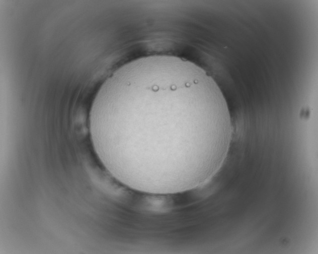 X0000113070187200909182033