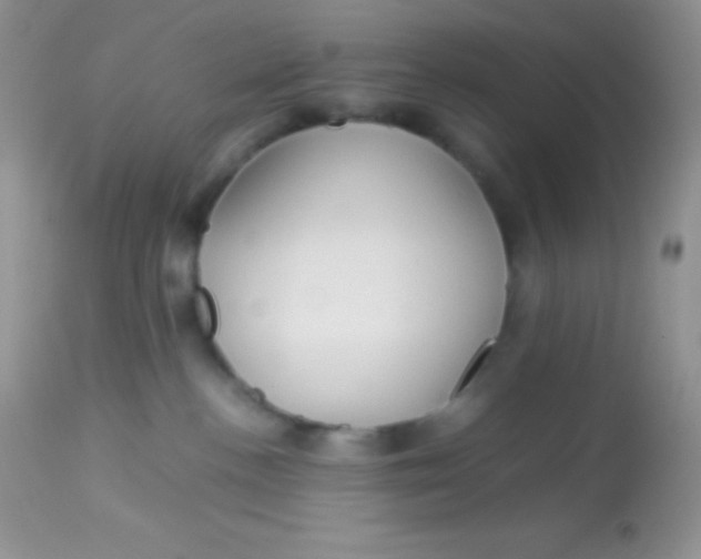 X0000113070188200909182033