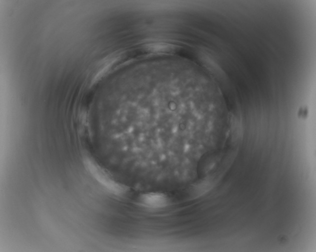 X0000113070189200909182033