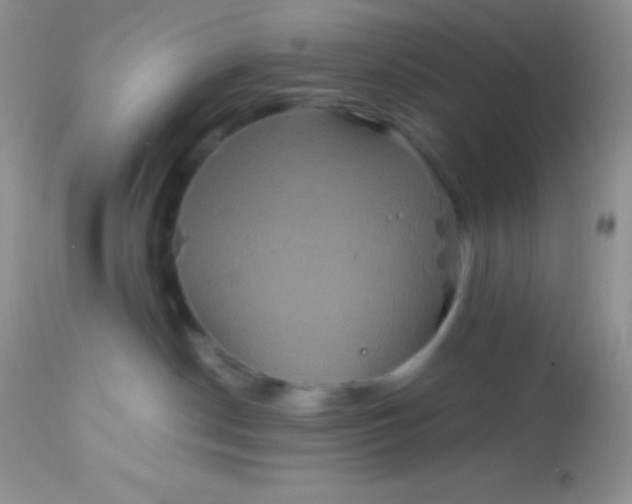 X0000113070190200909182033