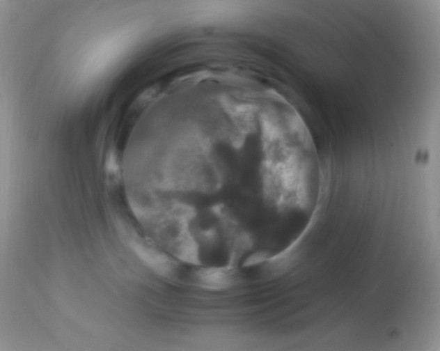 X0000113070191200909182033