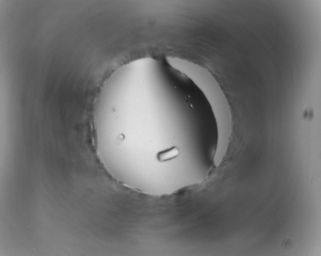 X0000113070192200909182033