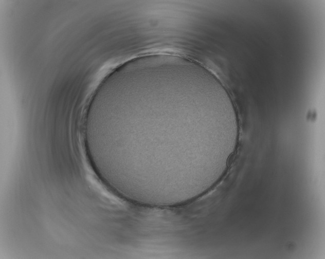 X0000113070193200909182033