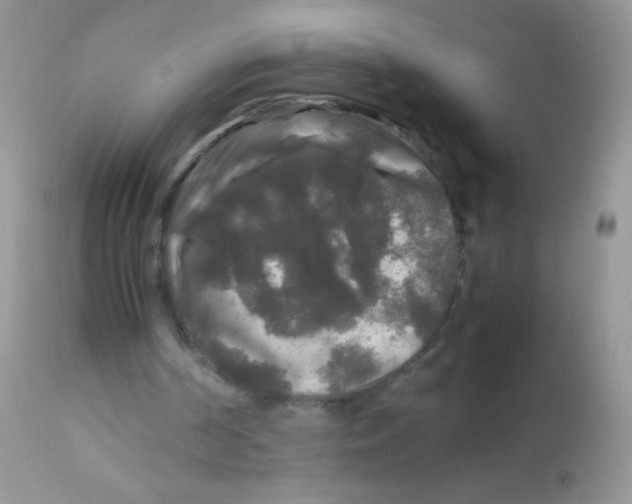 X0000113070194200909182033