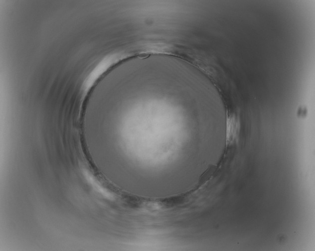 X0000113070195200909182033