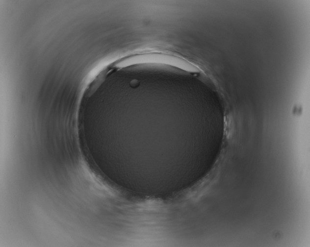 X0000113070196200909182033