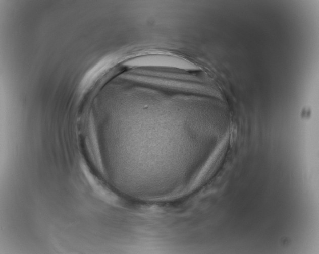 X0000113070197200909182033