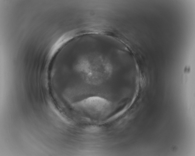 X0000113070198200909182033