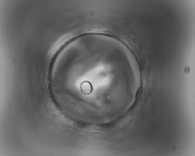 X0000113070199200909182033