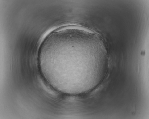 X0000113070200200909182033