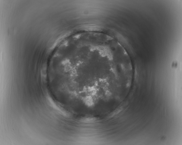 X0000113070202200909182033