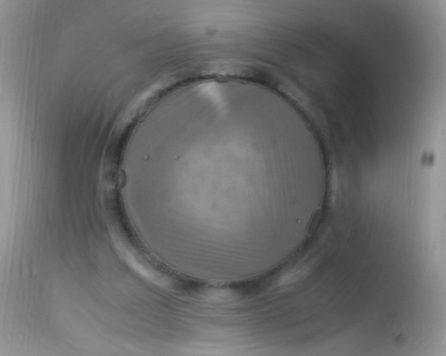 X0000113070203200909182033