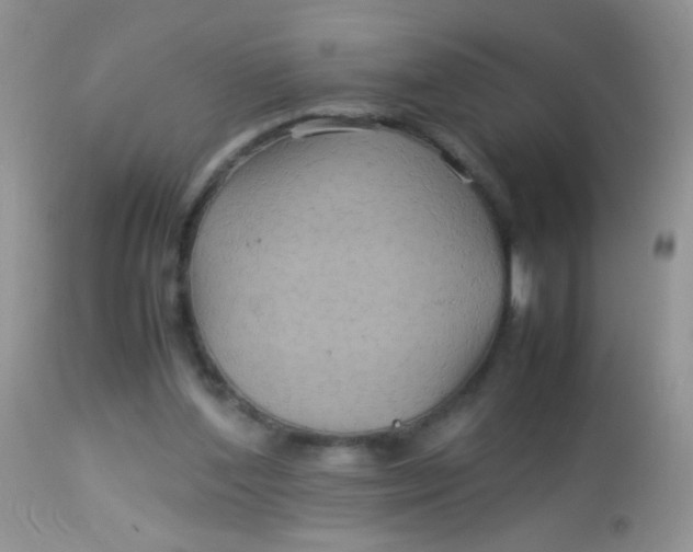 X0000113070204200909182033