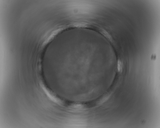 X0000113070205200909182032