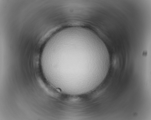 X0000113070206200909182032