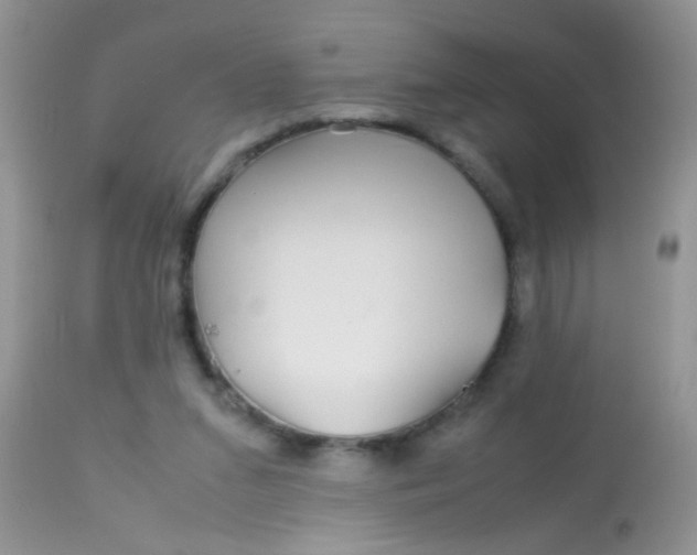 X0000113070207200909182032