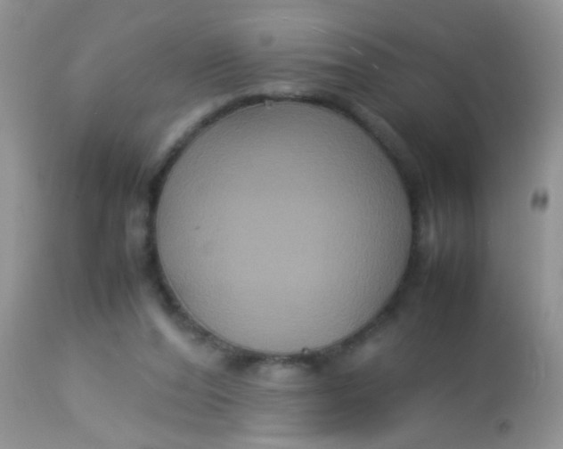 X0000113070208200909182032