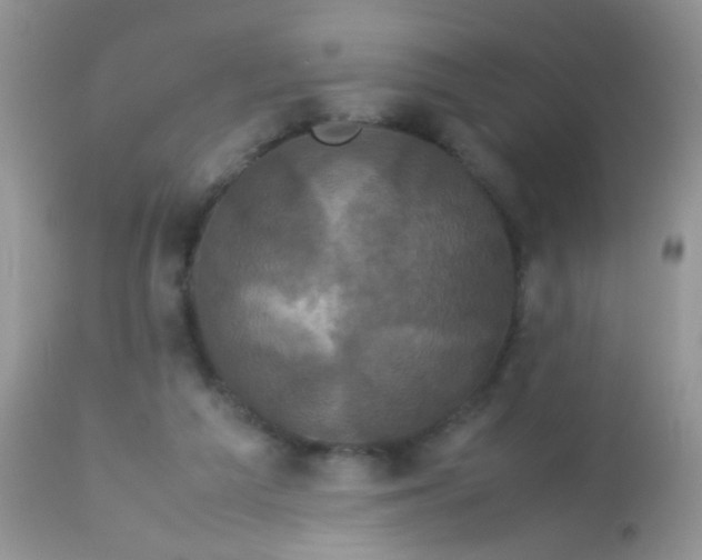 X0000113070209200909182032