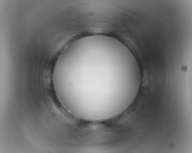 X0000113070210200909182032