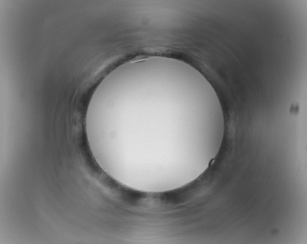 X0000113070211200909182032