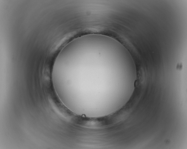 X0000113070212200909182032