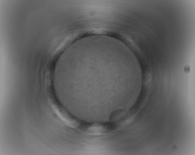 X0000113070213200909182032