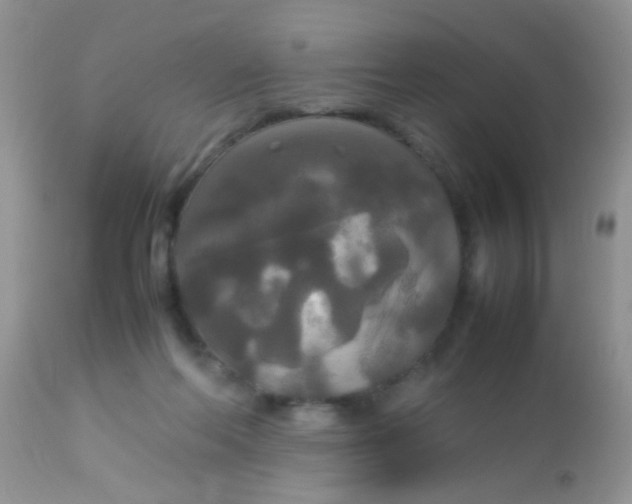 X0000113070214200909182032