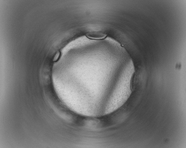 X0000113070215200909182032