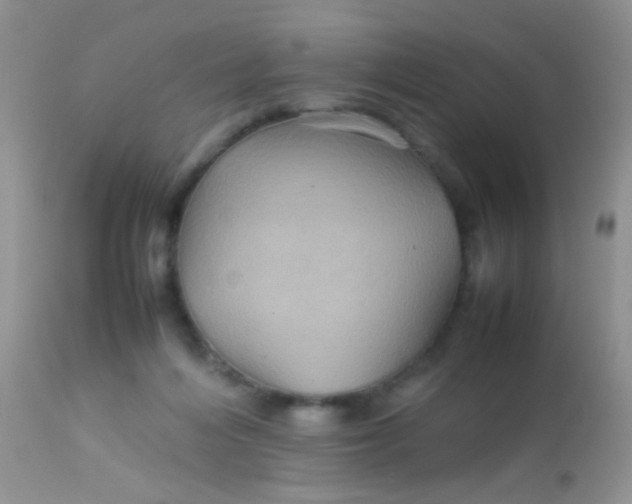 X0000113070216200909182032