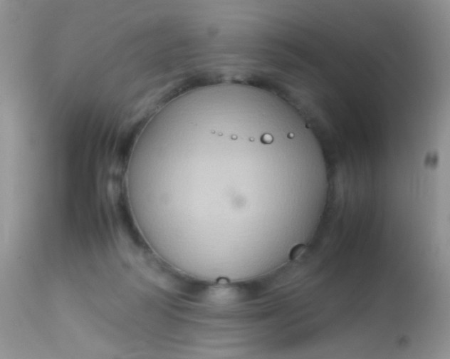 X0000113070218200909182032