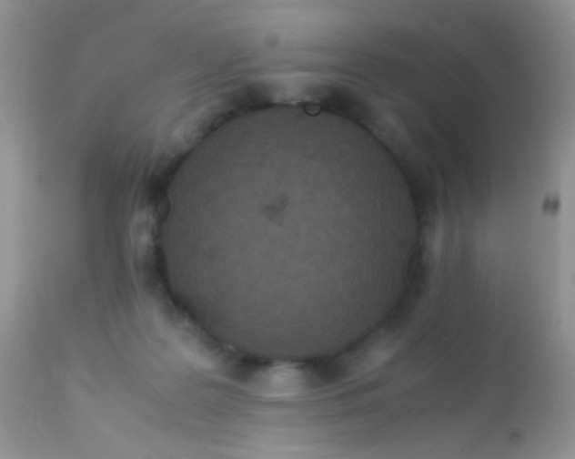 X0000113070219200909182032