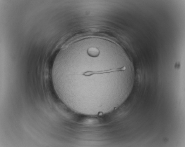 X0000113070220200909182032