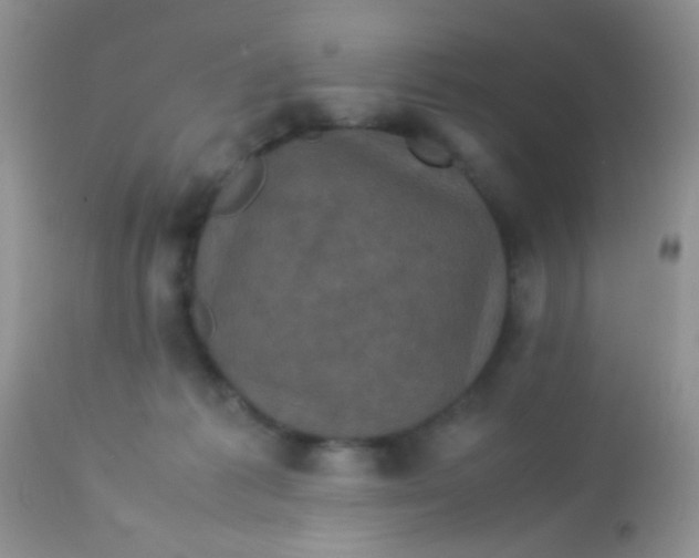 X0000113070221200909182032