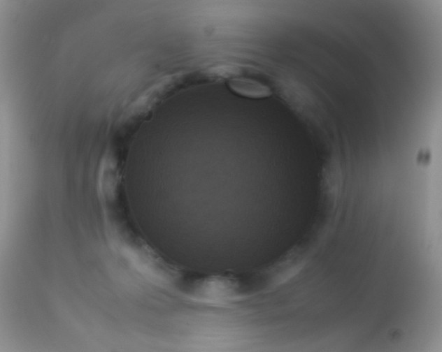 X0000113070223200909182032