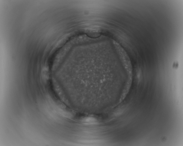 X0000113070224200909182032