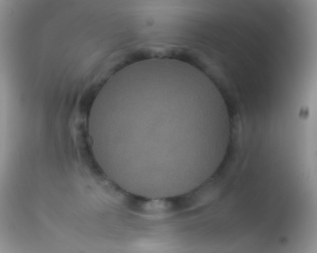 X0000113070225200909182032