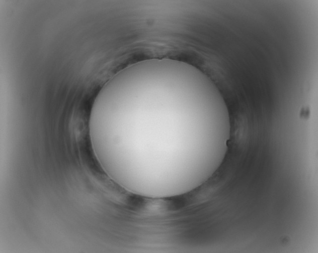 X0000113070226200909182032