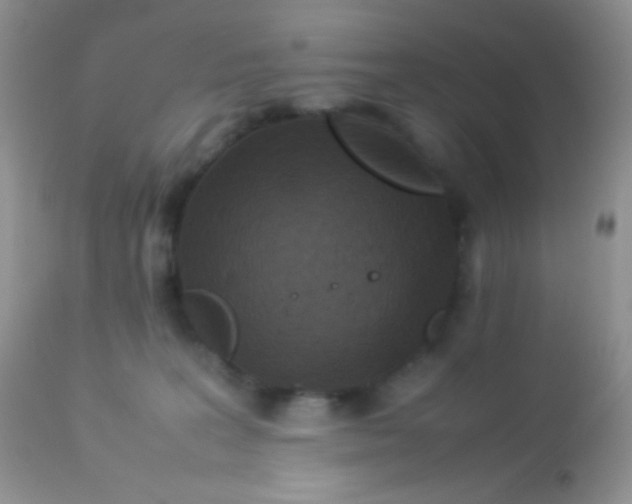 X0000113070227200909182032