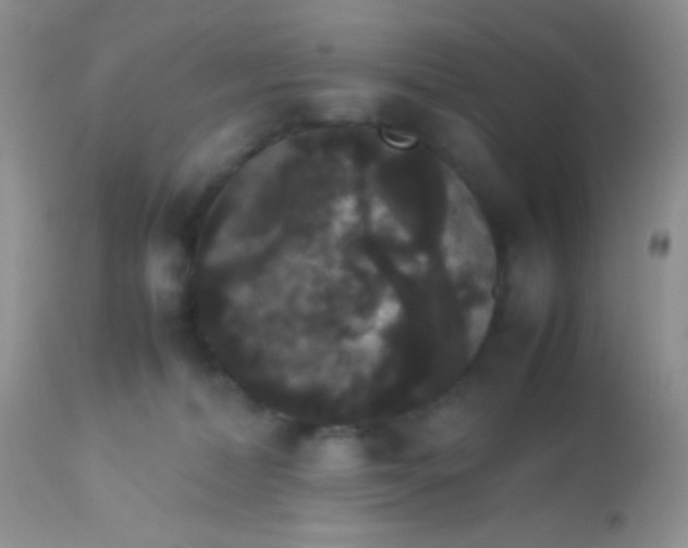 X0000113070228200909182032