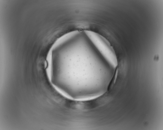 X0000113070229200909182032